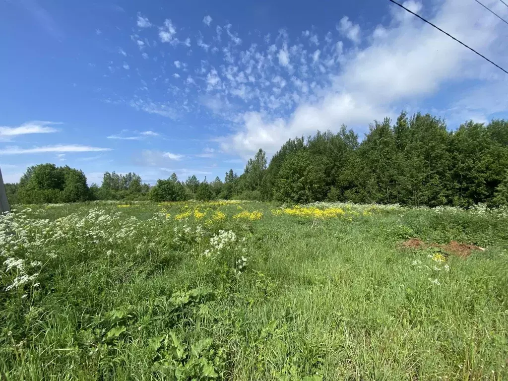 Участок в Ярославская область, Переславль-Залесский муниципальный ... - Фото 1