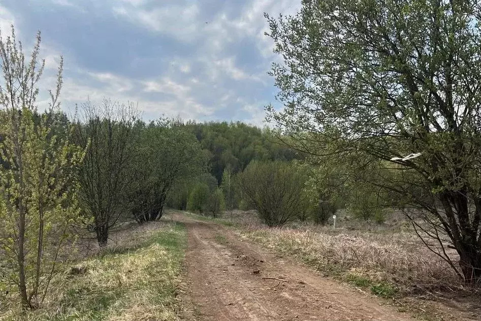 Участок в Нижегородская область, Богородский муниципальный округ, ... - Фото 1