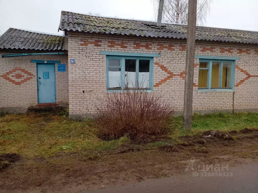 Помещение свободного назначения в Новгородская область, Демянский ... - Фото 1