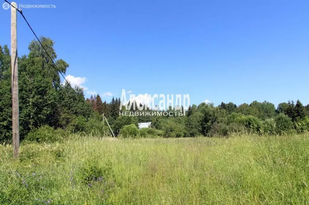 Участок в Выборгский район, Селезнёвское сельское поселение, посёлок ... - Фото 2