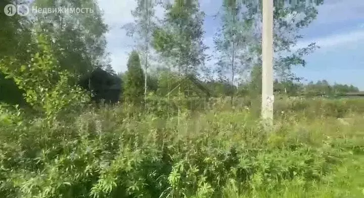 Участок в Новгородская область, Маловишерское городское поселение, ... - Фото 2