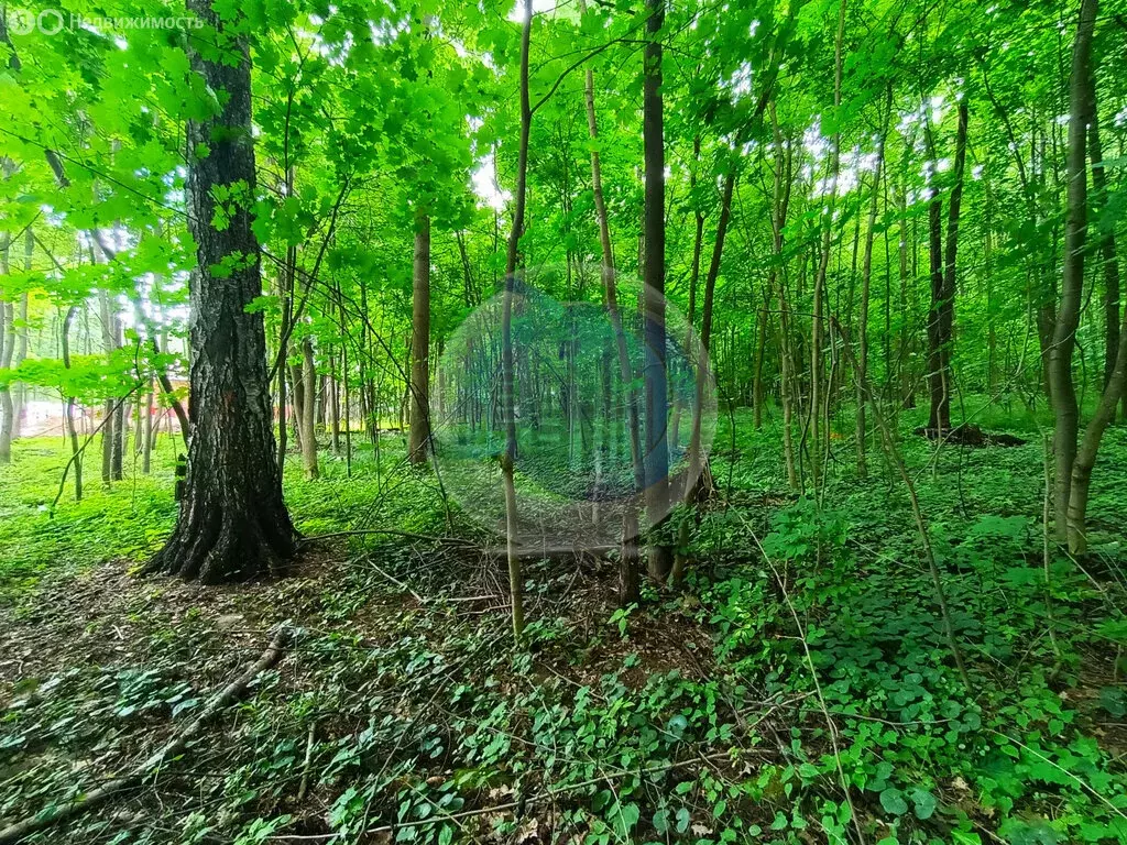 Участок в Московская область, Ленинский городской округ, деревня ... - Фото 1