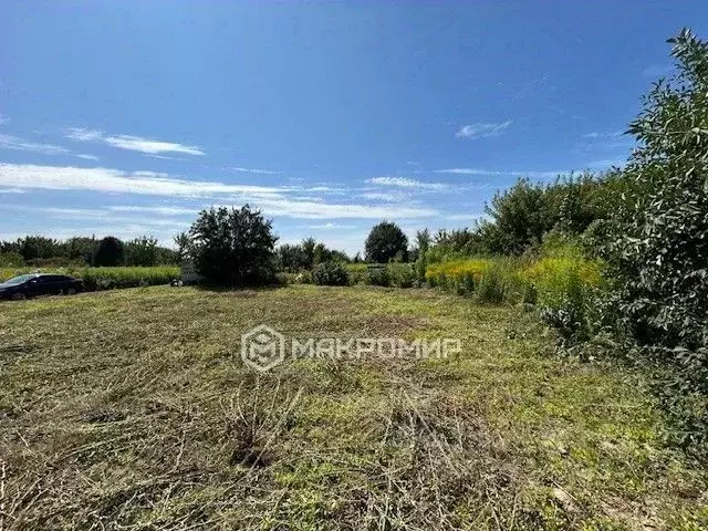 Участок в Брянская область, Брянский район, Снежское с/пос, пос. ... - Фото 1