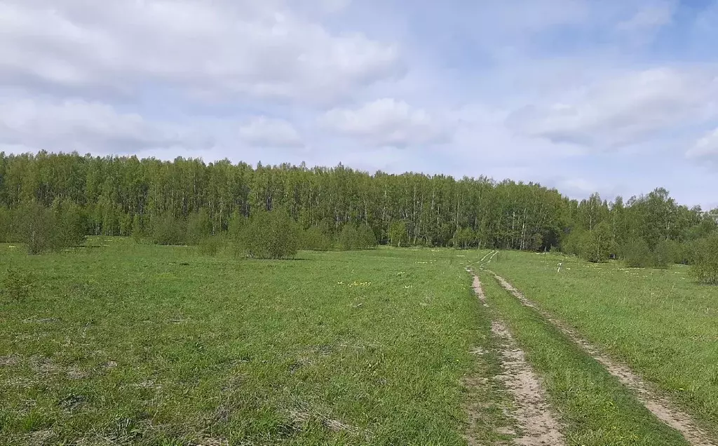 Участок в Ярославская область, Переславль-Залесский городской округ, ... - Фото 1