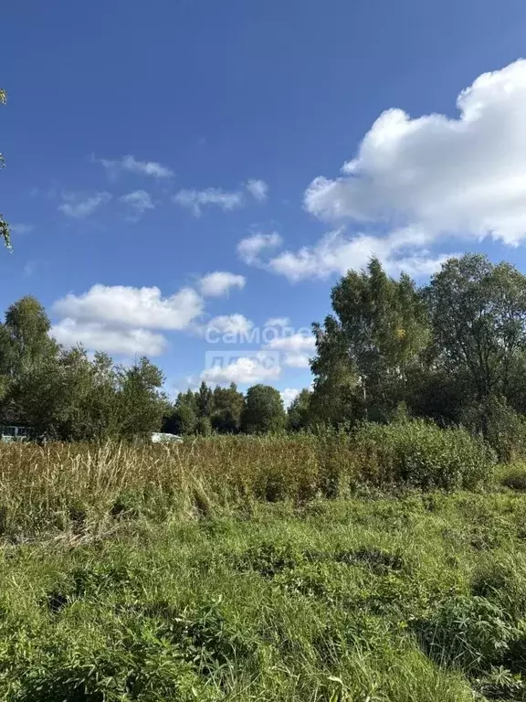 Участок в Московская область, Солнечногорск городской округ, Ветеран ... - Фото 2