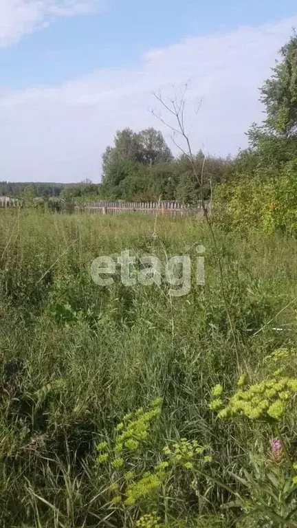 Участок в Свердловская область, Талицкий муниципальный округ, д. ... - Фото 1