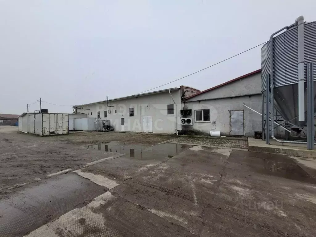 Производственное помещение в Калининградская область, Зеленоградский ... - Фото 1