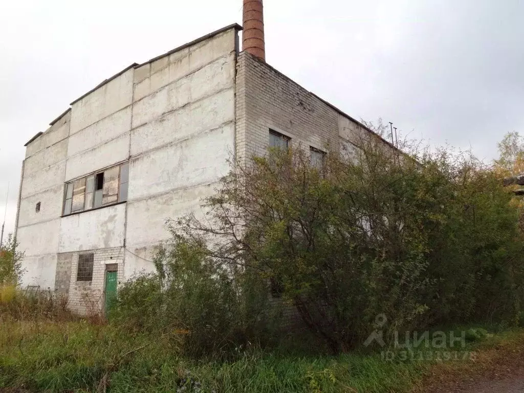 Производственное помещение в Архангельская область, Вычегодский рп ул. ... - Фото 0