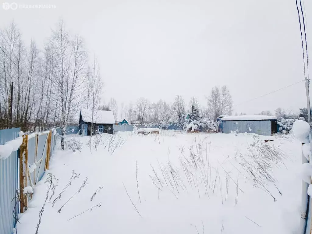 Участок в Ярославский муниципальный округ, СНТ Ярославль (5.5 м) - Фото 2