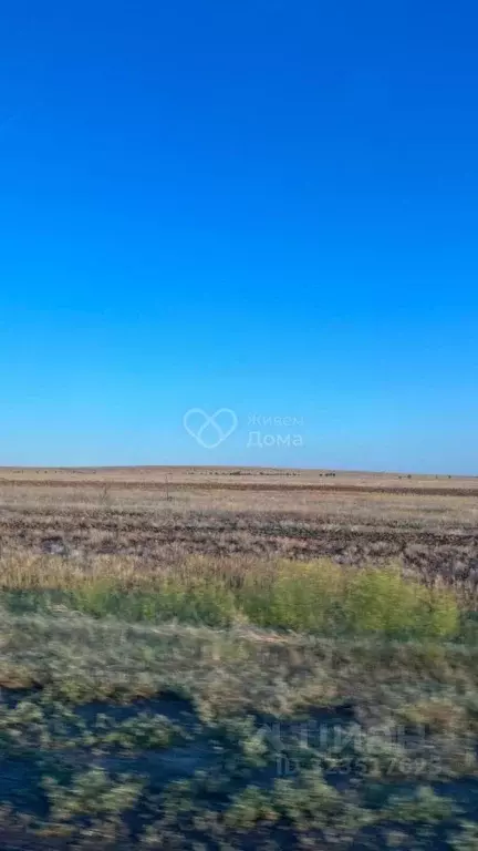 Участок в Волгоградская область, Среднеахтубинский район, Красное ... - Фото 2