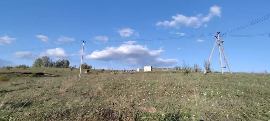 Участок в Алтай, Майминский район, пос. Алферово ул. И.А. Шаркова, 35 ... - Фото 1