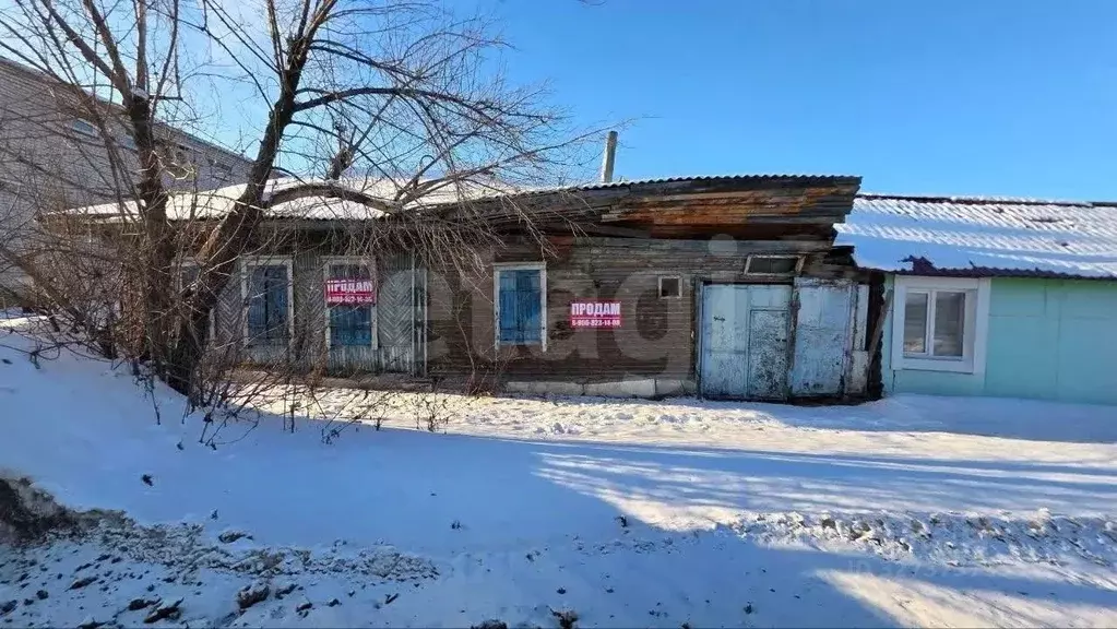 Участок в Алтайский край, Барнаул ул. Гоголя, 142 (3.0 сот.) - Фото 2