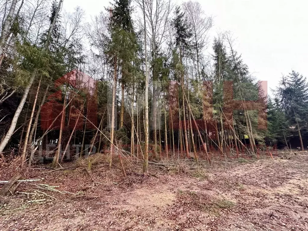 Участок в Тверская область, Конаково Весенняя ул. (24.0 сот.) - Фото 0