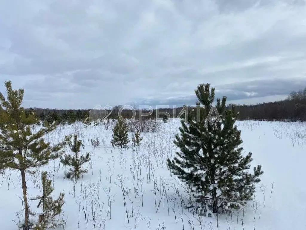 Участок в Тюменская область, Тюменский район, д. Елань 14 (8.0 сот.) - Фото 1