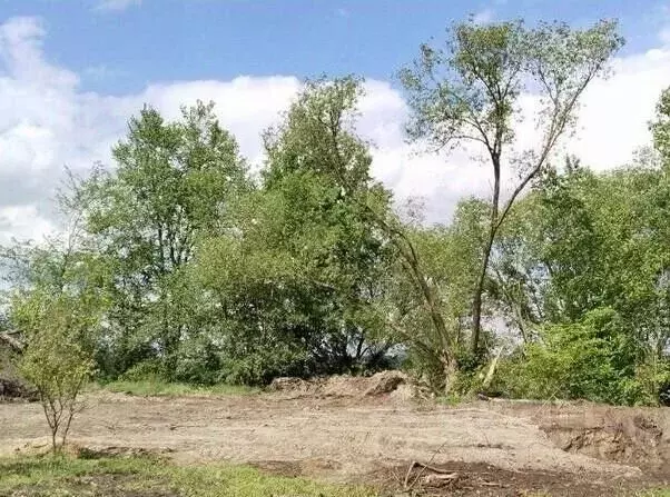 Участок в Камчатский край, Елизовский муниципальный округ, пос. ... - Фото 0