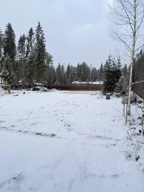 Участок в Ленинградская область, Всеволожский район, Сертоловское ... - Фото 1