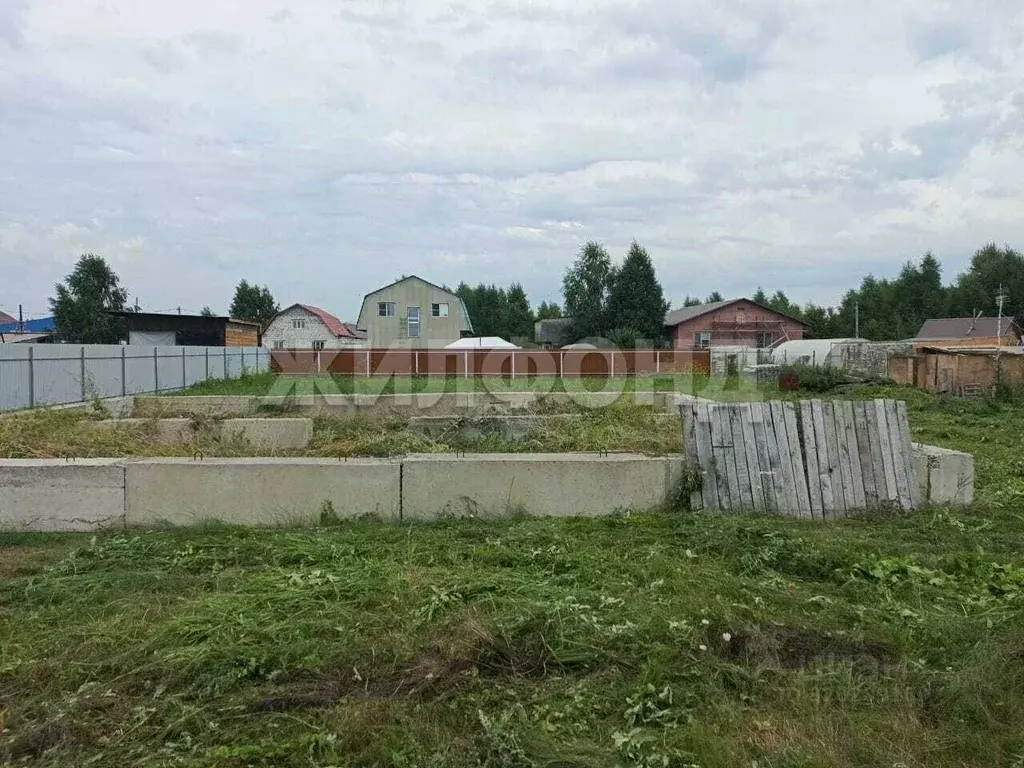 Участок в Новосибирская область, Новосибирский район, с. Верх-Тула ул. ... - Фото 1