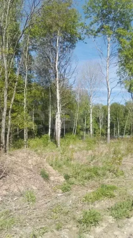 Участок в Калужская область, Малоярославецкий муниципальный округ, ... - Фото 1