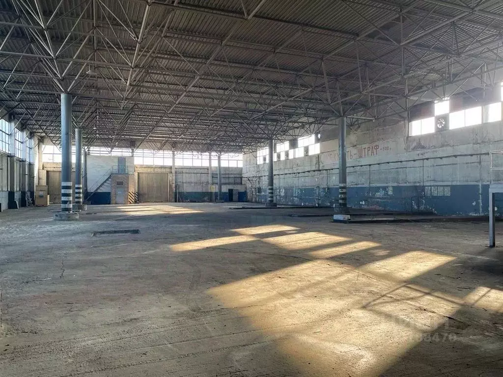 Склад в Ростовская область, Новочеркасск ул. Шоссе Нового гаража, 13 ... - Фото 1