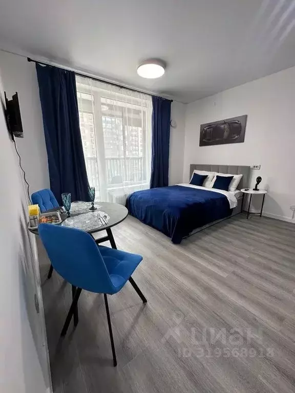 Студия Санкт-Петербург Дальневосточный просп., 19к1 (24.0 м) - Фото 1