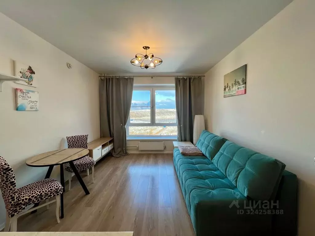 Студия Москва ул. Большое Понизовье, 3 (20.0 м) - Фото 1