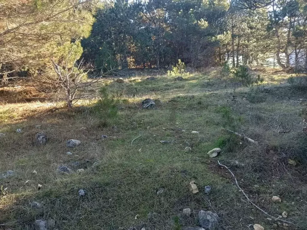 Участок в Севастополь Балаклавский муниципальный округ, Лазурь ТСН,  ... - Фото 1