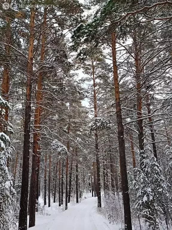Участок в Тюменский муниципальный округ, деревня Ушакова, Парковый ... - Фото 1