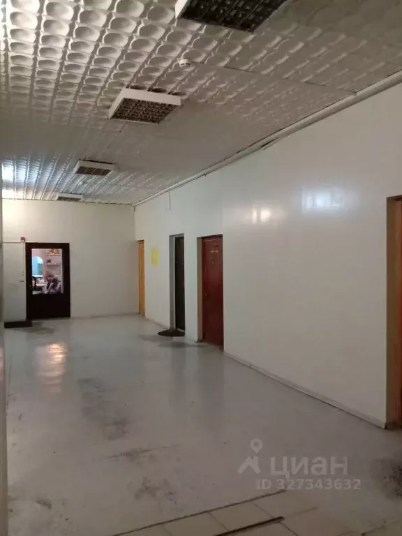 Помещение свободного назначения в Иркутская область, Иркутск ул. ... - Фото 1