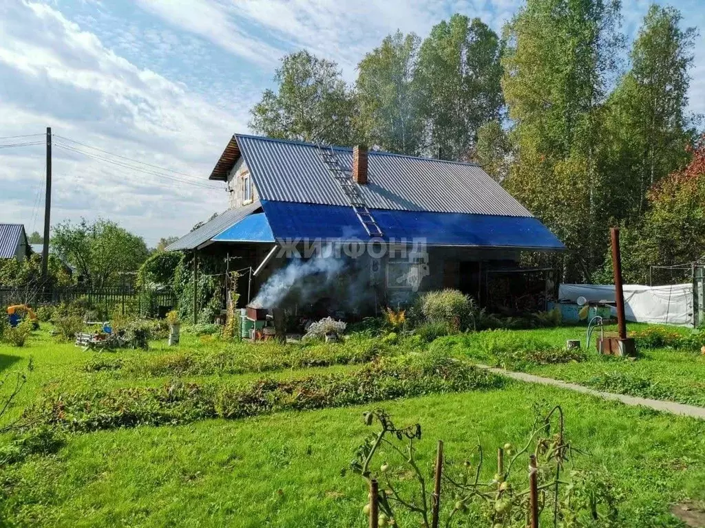 Участок в Новосибирская область, Новосибирский район, Новолуговской ... - Фото 1