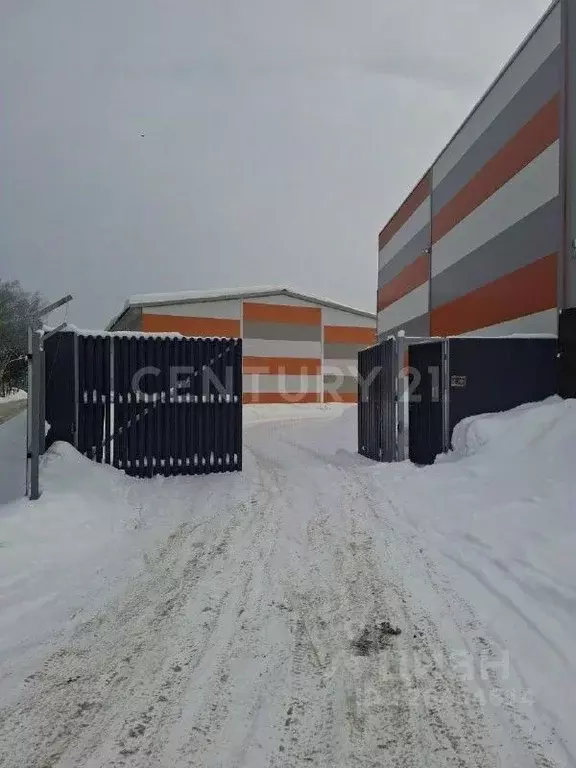 Склад в Московская область, Щелково городской округ, д. Моносеево 24Б ... - Фото 2