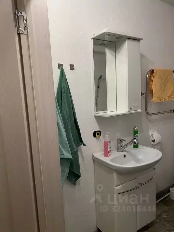 1-к кв. Брянская область, Брянск ул. Татьяны Николаевой, 8 (30.0 м) - Фото 2