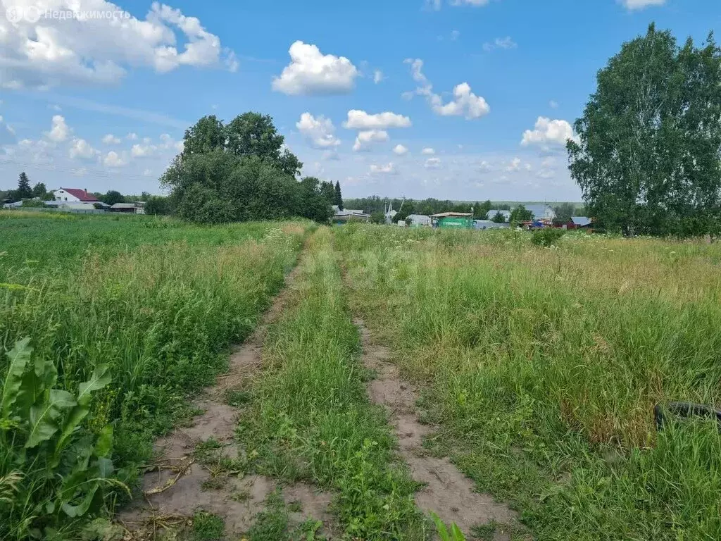 Участок в Усть-Ницинское сельское поселение, деревня Бурмакина, Новая ... - Фото 0