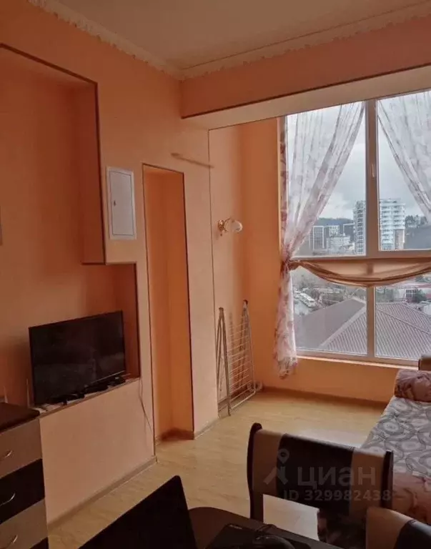Студия Краснодарский край, Сочи городской округ, Дагомыс пгт ул. ... - Фото 1