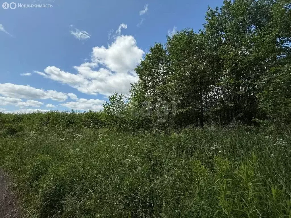 Участок в Московская область, городской округ Серпухов, деревня ... - Фото 1