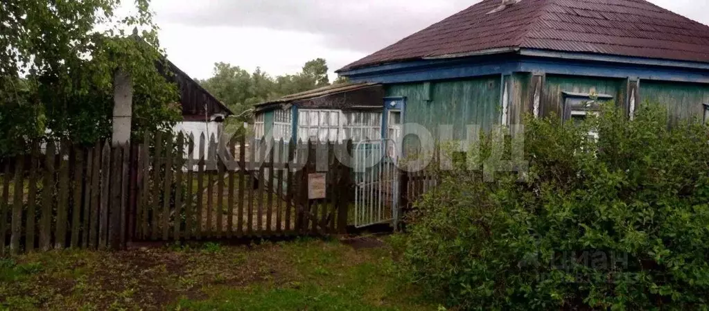 Дом в Алтайский край, Калманский район, с. Бураново Новая ул. (27 м) - Фото 0