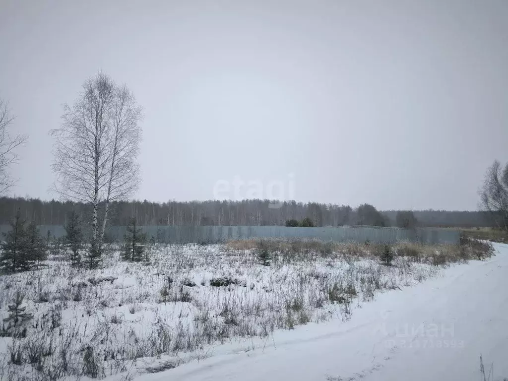 Участок в Владимирская область, Муром д. Михайлово, ул. Центральная ... - Фото 0