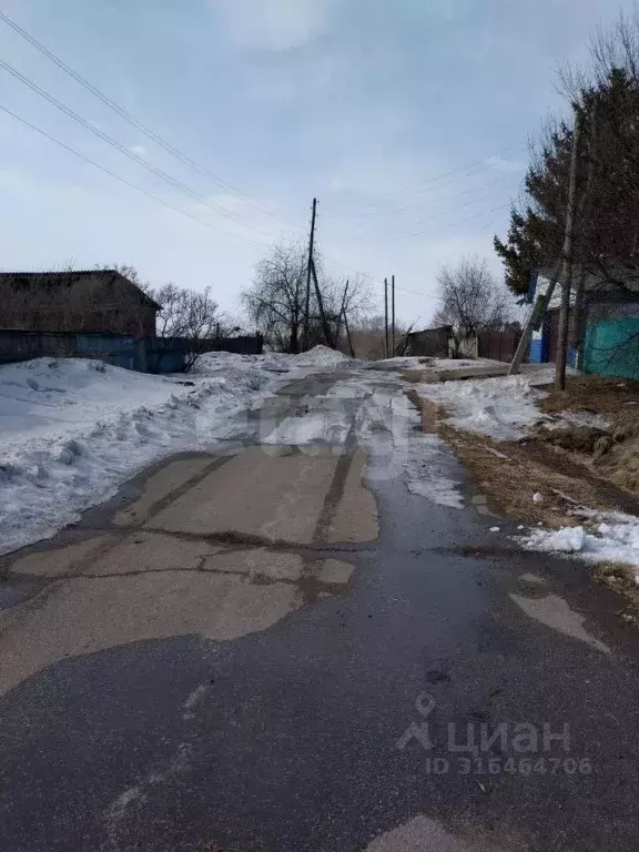 Дом в Амурская область, Тамбовский муниципальный округ, с. Раздольное ... - Фото 1