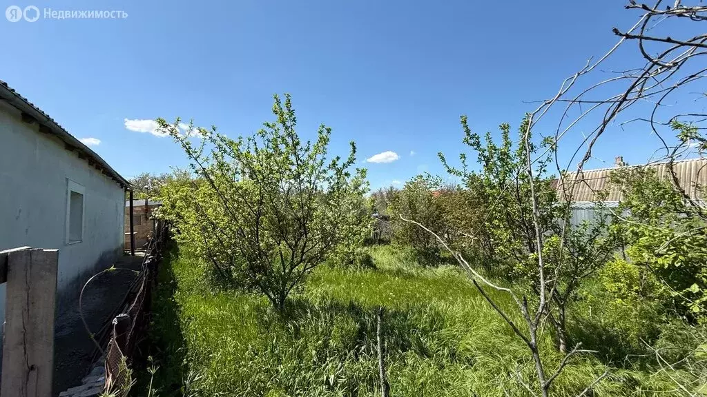 Участок в Симферополь, СТ Металлист (2.94 м) - Фото 1