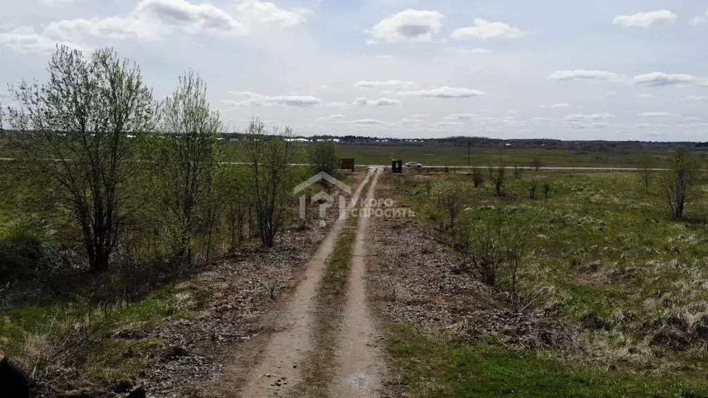 Участок в Ленинградская область, Ломоносовский район, Лопухинское ... - Фото 0