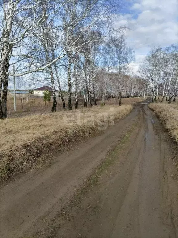 Участок в Бийский район, СТ Берег Катуни (8 м) - Фото 1