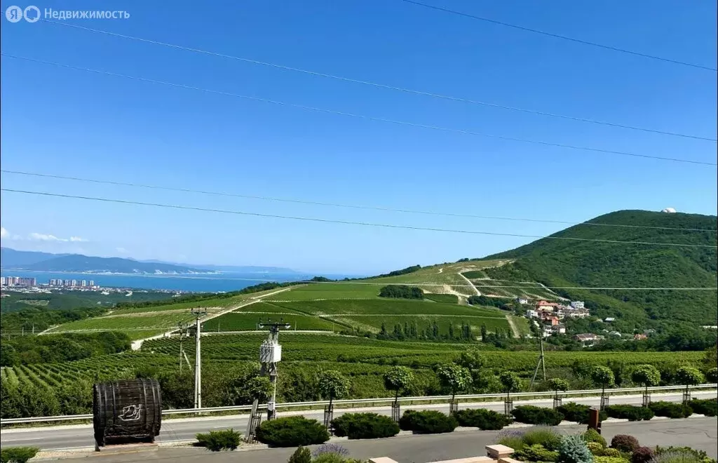 Участок в Краснодарский край, Новороссийск (6.3 м) - Фото 1