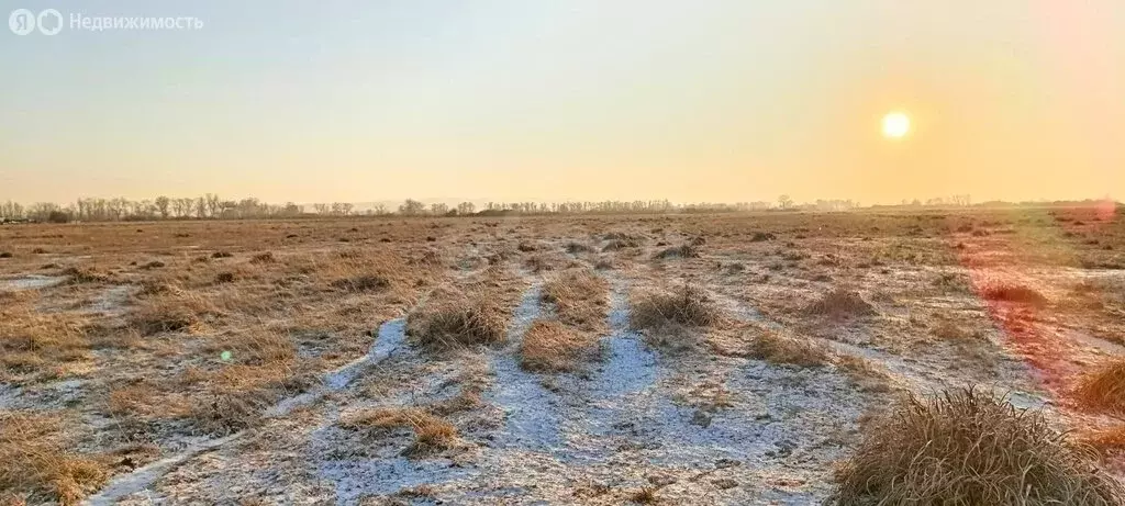 Участок в Сапогов, СНТ Южное (10 м) - Фото 2