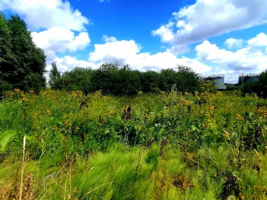 Участок в Пензенская область, Пенза ул. Клубничная (10.0 сот.) - Фото 2