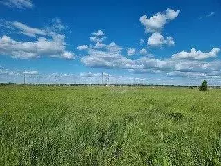 Участок в Саратовская область, Балашовский район, Хоперское ... - Фото 1