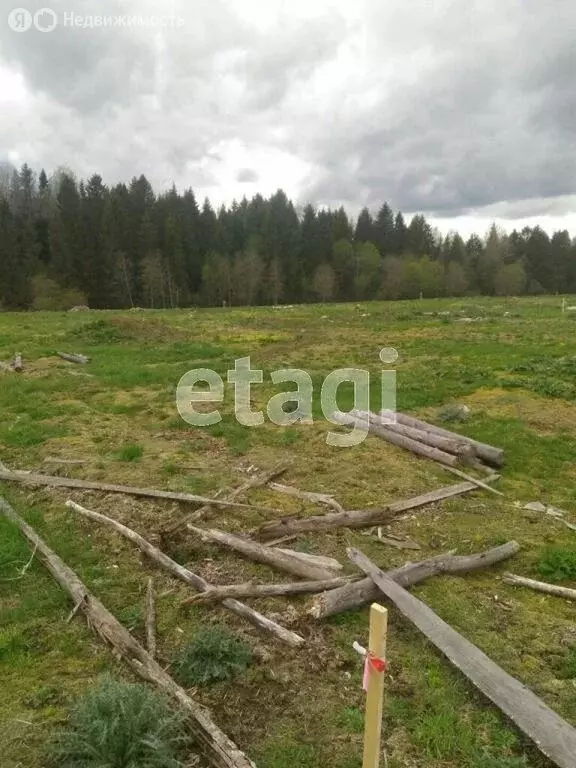 Участок в Вологодский муниципальный округ, деревня Стризнево ... - Фото 1