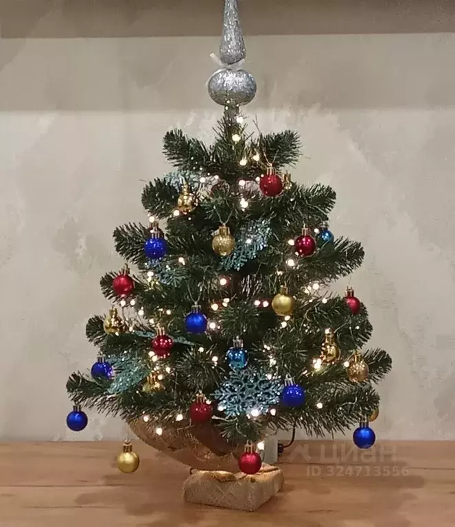 1-к кв. Рязанская область, Рязань ул. Гагарина, 81к1 (31.0 м) - Фото 2