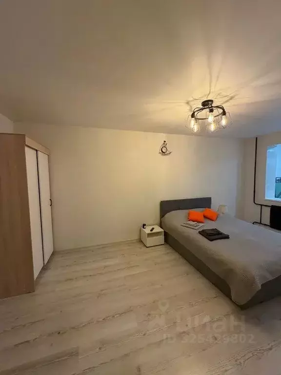 1-к кв. Псковская область, Псков Коммунальная ул., 69 (32.0 м) - Фото 2