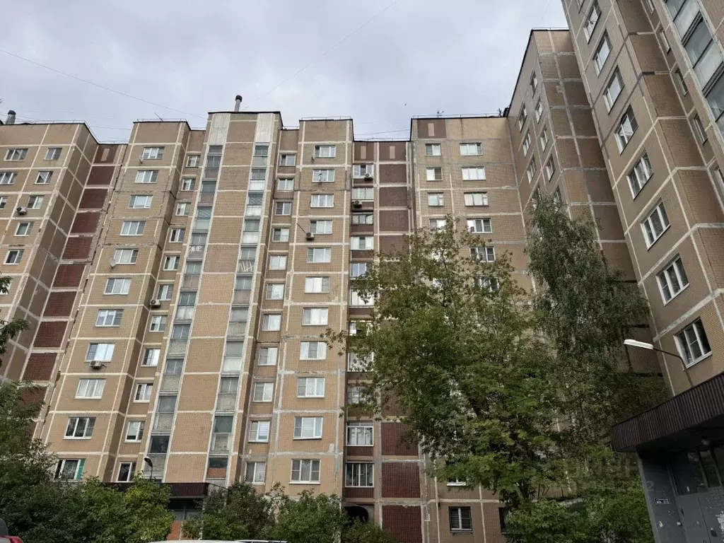 2-к кв. Московская область, Электроугли Богородский городской округ, ... - Фото 2