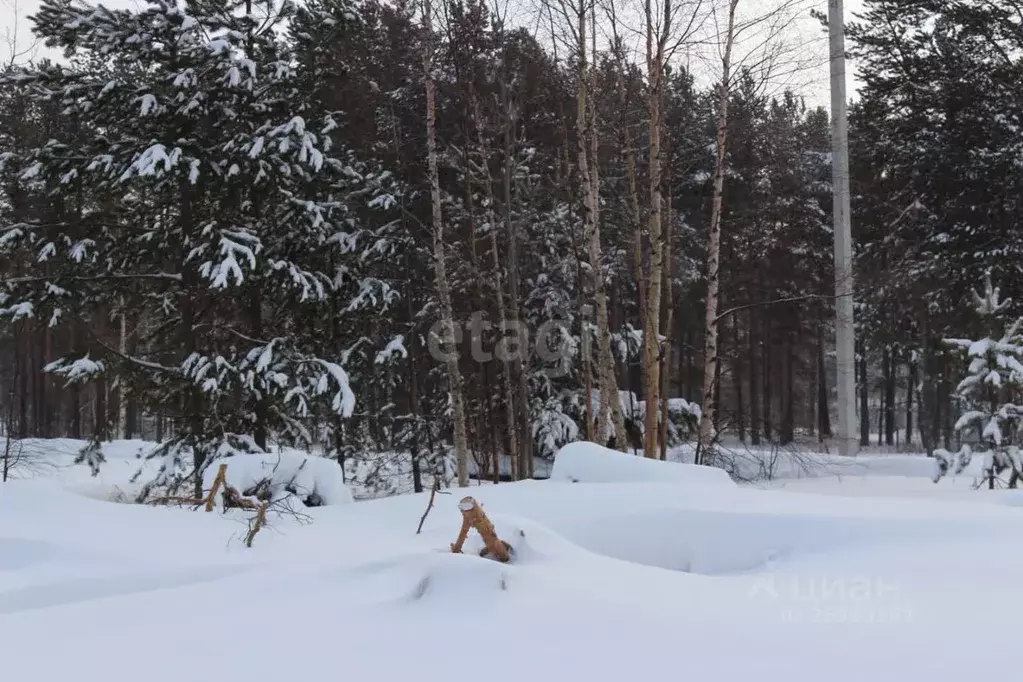 Участок в Ханты-Мансийский АО, Когалым пос. Пионерный,  (9.1 сот.) - Фото 0