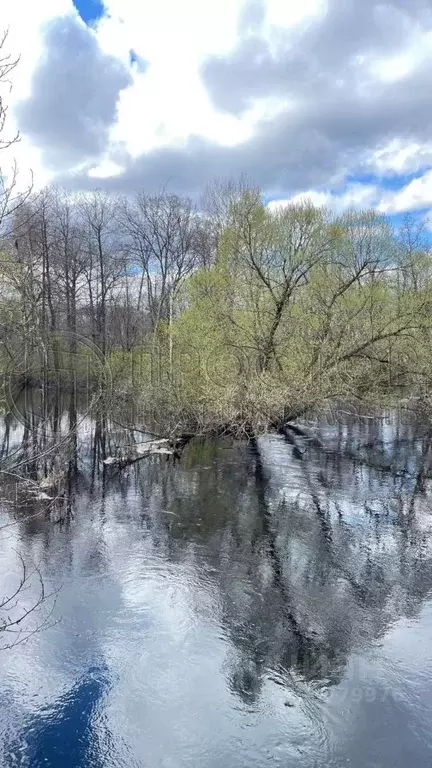 Помещение свободного назначения в Московская область, Шатура городской ... - Фото 0